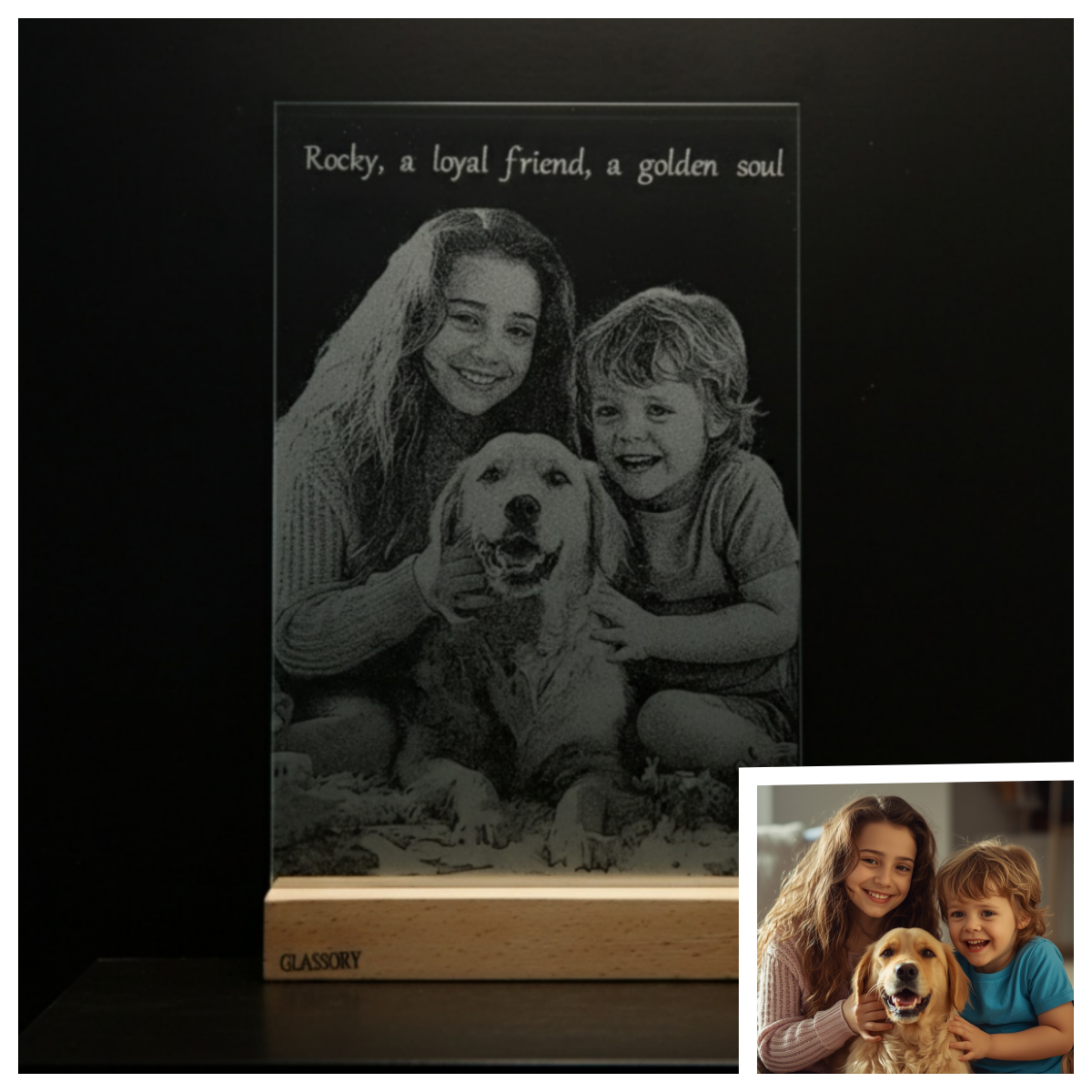 In Memory of Rocky . 2009-2021