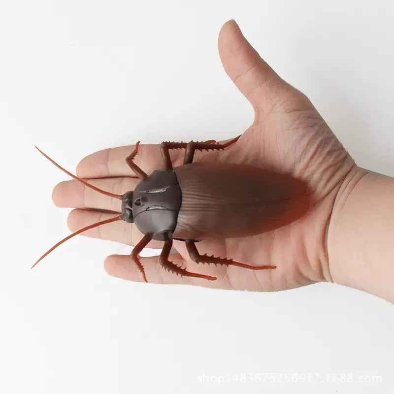 Infrared RC Cockroach Toy