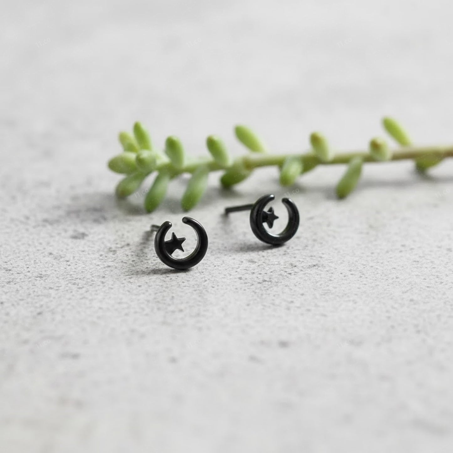Moon & Star Stud Earrings
